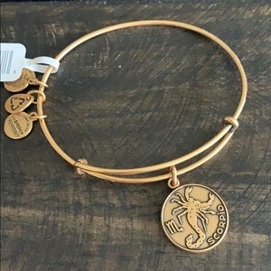 ⚙️TARNISHED ALEX AND ANI⚙️